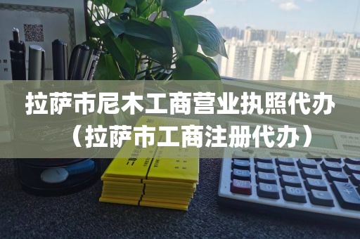 拉萨市尼木工商营业执照代办（拉萨市工商注册代办）