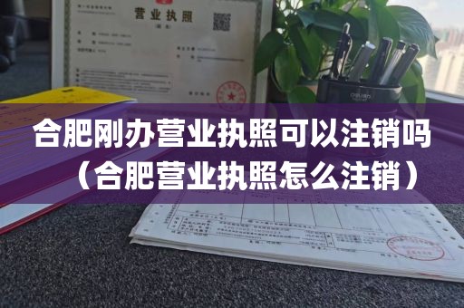 合肥刚办营业执照可以注销吗(合肥营业执照怎么注销)