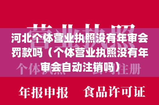 河北个体营业执照没有年审会罚款吗（个体营业执照没有年审会自动注销吗）