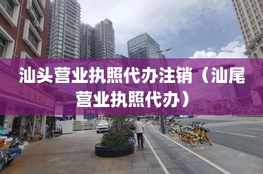 汕头营业执照代办注销（汕尾营业执照代办）