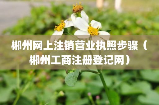 郴州网上注销营业执照步骤（郴州工商注册登记网）