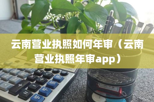 云南营业执照如何年审（云南营业执照年审app）