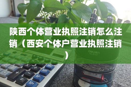 陕西个体营业执照注销怎么注销（西安个体户营业执照注销）