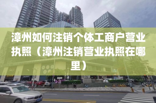 漳州如何注销个体工商户营业执照（漳州注销营业执照在哪里）