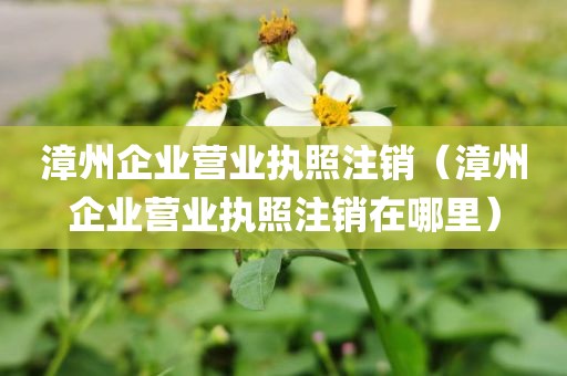 漳州企业营业执照注销（漳州企业营业执照注销在哪里）