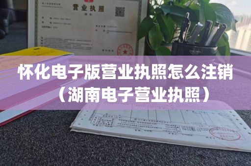 怀化电子版营业执照怎么注销（湖南电子营业执照）