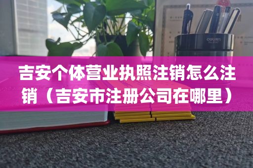 吉安个体营业执照注销怎么注销（吉安市注册公司在哪里）