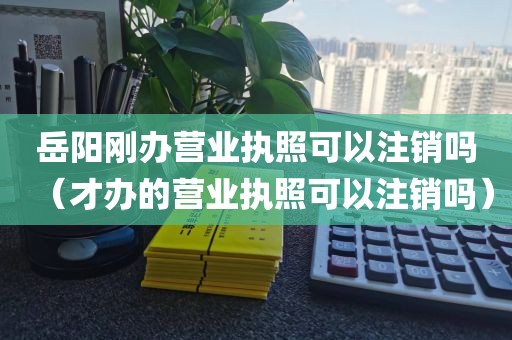 岳阳刚办营业执照可以注销吗（才办的营业执照可以注销吗）
