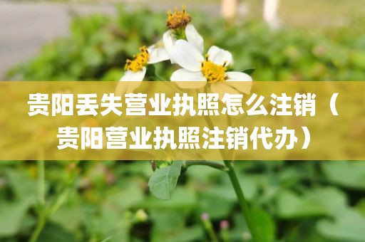 贵阳丢失营业执照怎么注销（贵阳营业执照注销代办）