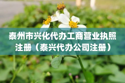 泰州市兴化代办工商营业执照注册(泰兴代办公司注册)