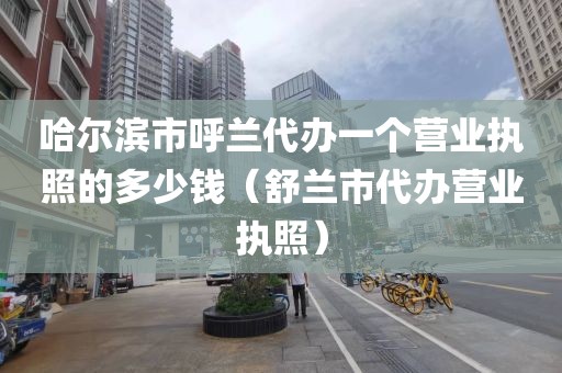 哈尔滨市呼兰代办一个营业执照的多少钱（舒兰市代办营业执照）