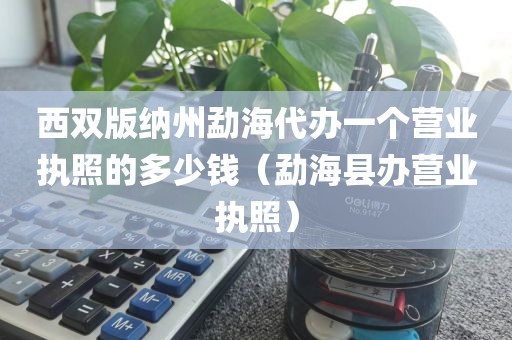 西双版纳州勐海代办一个营业执照的多少钱（勐海县办营业执照）