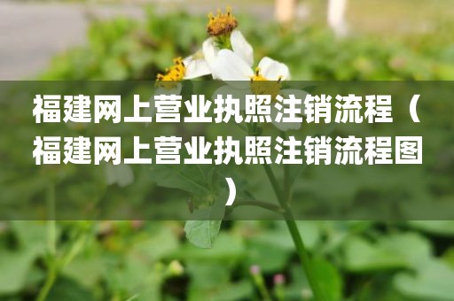 福建网上营业执照注销流程（福建网上营业执照注销流程图）