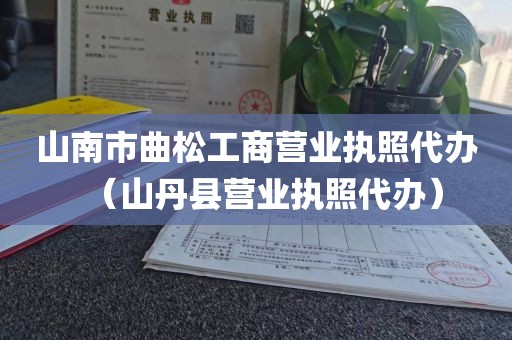 山南市曲松工商营业执照代办（山丹县营业执照代办）