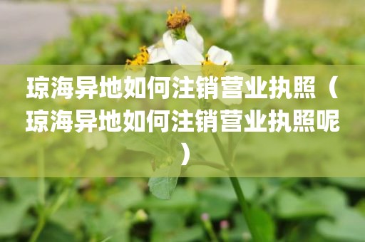 琼海异地如何注销营业执照（琼海异地如何注销营业执照呢）