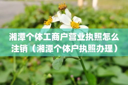 湘潭个体工商户营业执照怎么注销（湘潭个体户执照办理）