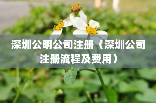 深圳公明公司注册（深圳公司注册流程及费用）