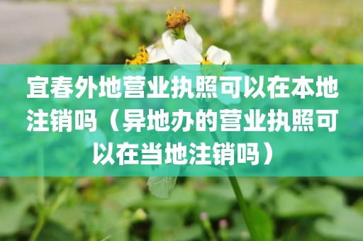 宜春外地营业执照可以在本地注销吗（异地办的营业执照可以在当地注销吗）