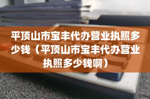 平顶山市宝丰代办营业执照多少钱（平顶山市宝丰代办营业执照多少钱啊）