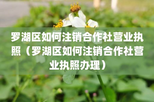 罗湖区如何注销合作社营业执照（罗湖区如何注销合作社营业执照办理）