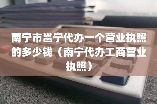 南宁市邕宁代办一个营业执照的多少钱（南宁代办工商营业执照）