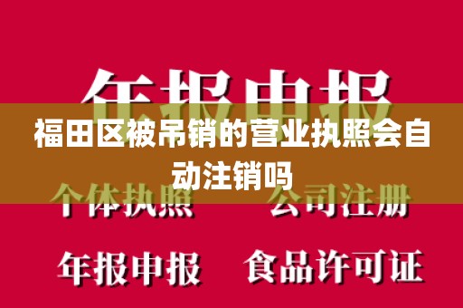 福田区被吊销的营业执照会自动注销吗