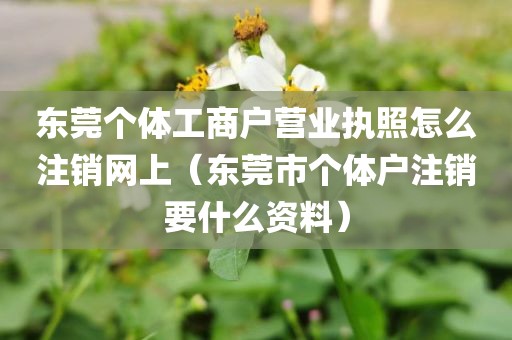 东莞个体工商户营业执照怎么注销网上(东莞市个体户注销要什么资料)