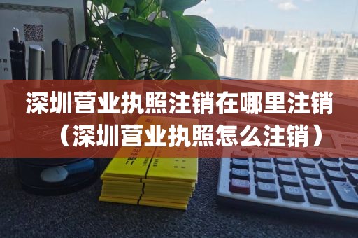 深圳营业执照注销在哪里注销（深圳营业执照怎么注销）