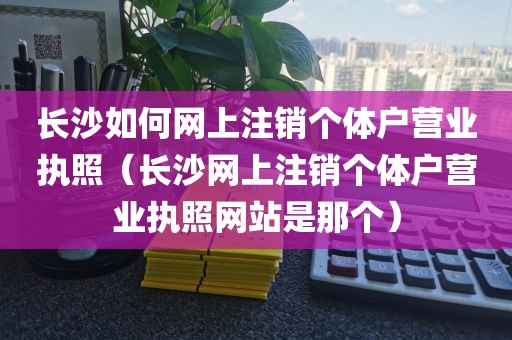 长沙如何网上注销个体户营业执照（长沙网上注销个体户营业执照网站是那个）