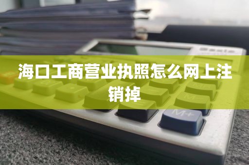 海口工商营业执照怎么网上注销掉