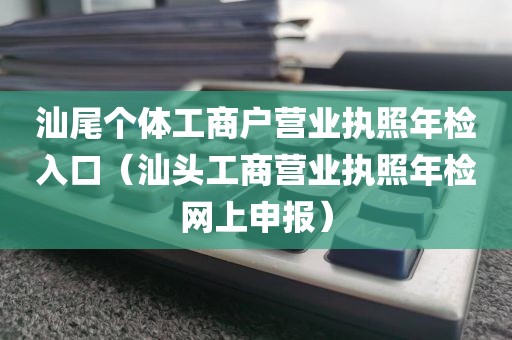 汕尾个体工商户营业执照年检入口（汕头工商营业执照年检网上申报）