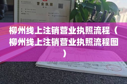 柳州线上注销营业执照流程（柳州线上注销营业执照流程图）