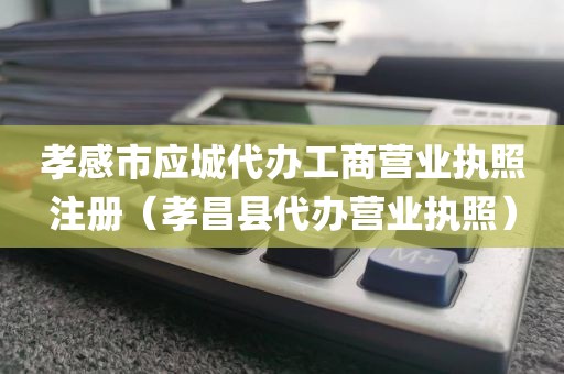 孝感市应城代办工商营业执照注册(孝昌县代办营业执照)