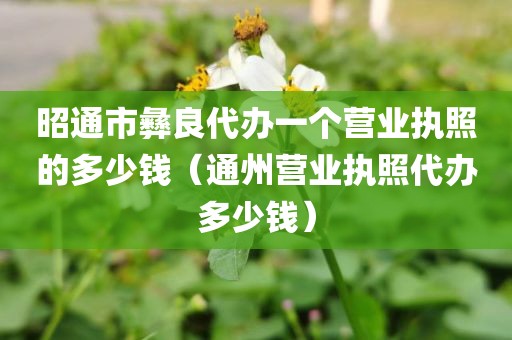 昭通市彝良代办一个营业执照的多少钱(通州营业执照代办多少钱)
