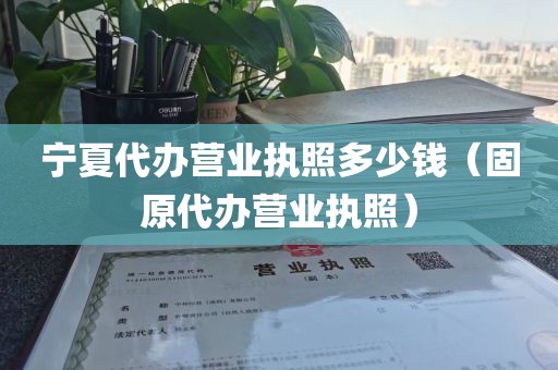 宁夏代办营业执照多少钱（固原代办营业执照）