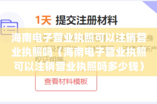 海南电子营业执照可以注销营业执照吗(海南电子营业执照可以注销营业执照吗多少钱)