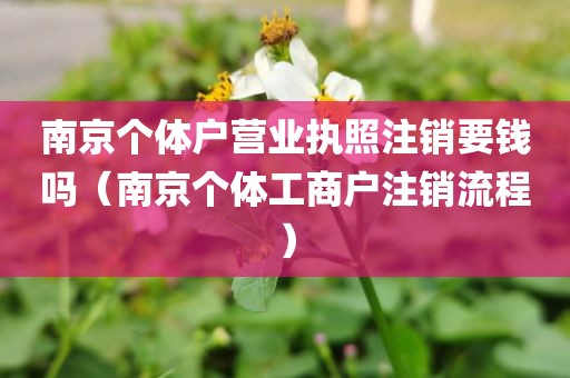 南京个体户营业执照注销要钱吗（南京个体工商户注销流程）