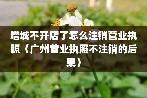 增城不开店了怎么注销营业执照（广州营业执照不注销的后果）