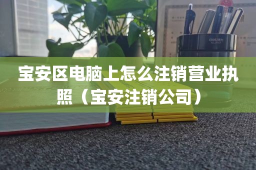 宝安区电脑上怎么注销营业执照（宝安注销公司）