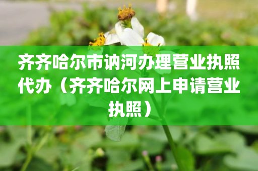 齐齐哈尔市讷河办理营业执照代办（齐齐哈尔网上申请营业执照）