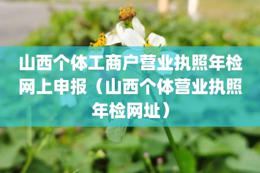 山西个体工商户营业执照年检网上申报（山西个体营业执照年检网址）