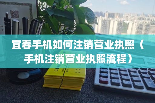宜春手机如何注销营业执照(手机注销营业执照流程)