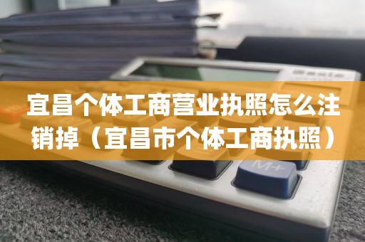宜昌个体工商营业执照怎么注销掉（宜昌市个体工商执照）