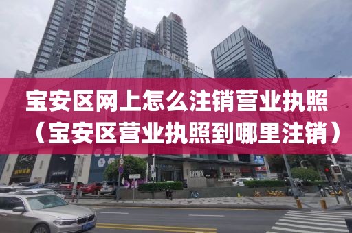 宝安区网上怎么注销营业执照（宝安区营业执照到哪里注销）