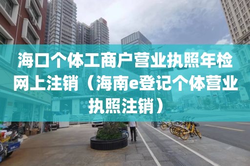 海口个体工商户营业执照年检网上注销(海南e登记个体营业执照注销)