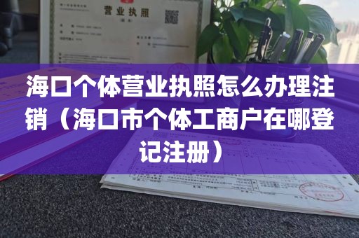 海口个体营业执照怎么办理注销（海口市个体工商户在哪登记注册）