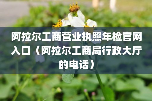 阿拉尔工商营业执照年检官网入口（阿拉尔工商局行政大厅的电话）