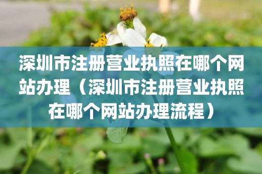 深圳市注册营业执照在哪个网站办理（深圳市注册营业执照在哪个网站办理流程）