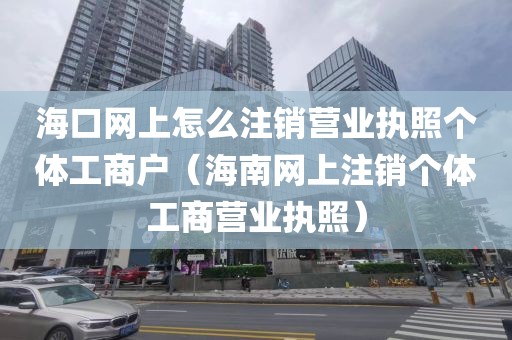 海口网上怎么注销营业执照个体工商户(海南网上注销个体工商营业执照)