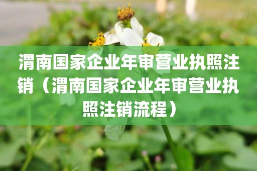 渭南国家企业年审营业执照注销（渭南国家企业年审营业执照注销流程）